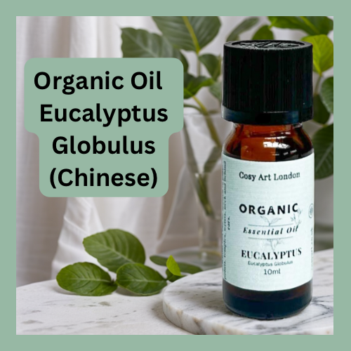 Eucalyptus Organic Essential Oil 10ml