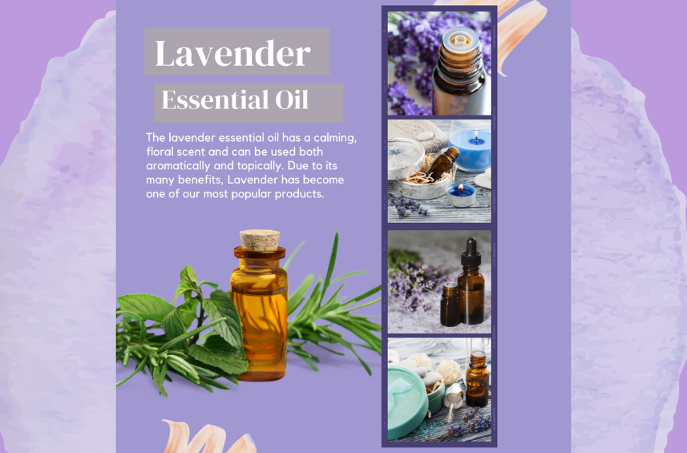 Lavender Organic Essential Oil 10ml