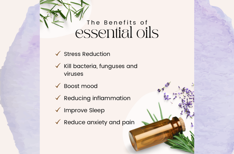 Lavender Organic Essential Oil 10ml