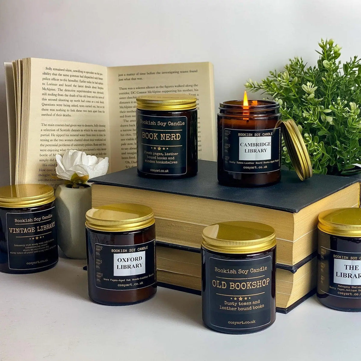 VIP Corner Monthly Subscription — Cosy Art